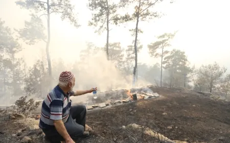 CHP’li belediyeden yangın mağduru arıcılara destek
