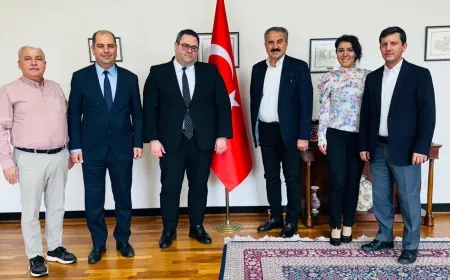 Türk zeytin ve zeytinyağı şirketlerinin gözü Avustralya pazarında