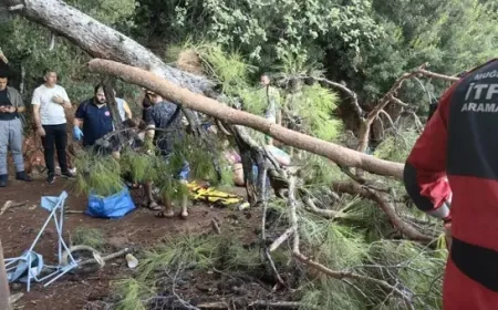 Kuvvetli  rüzgarın devirdiği ağaç 3 kişiyi yaraladı