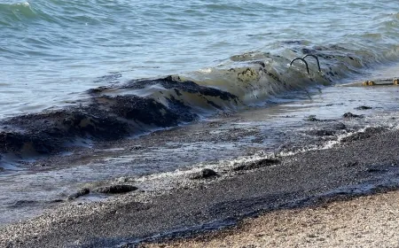 İstanköy ve Kalimnos adaları açıklarında denizde katran paniği