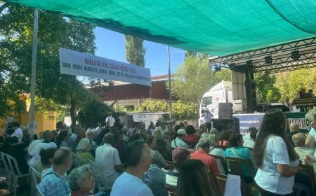 Çimentoculara karşı mücadeleyi kazandılar. Deştin Kültür ve Doğa Festivali devam ediyor