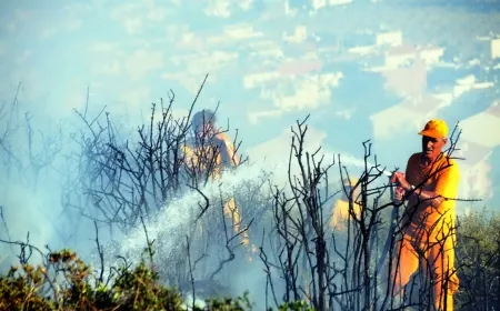 Akyarlarda makilik alan yangını korkuttu