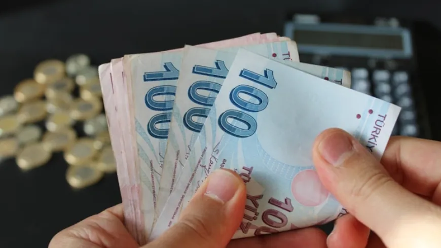 Kararname yürürlüğe girdi: Vergi dairesi başkanlıkları ve defterdarlıklar kapatıldı