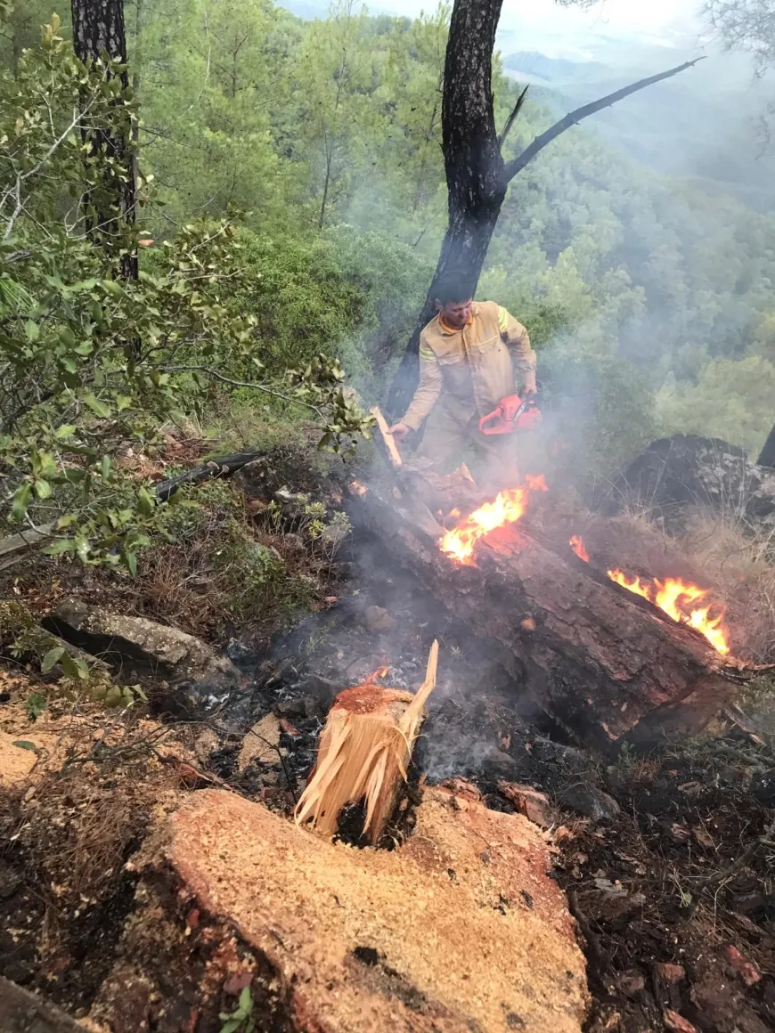 Muğla’da yıldırımlar ormanları yaktı 5 hektar kül oldu