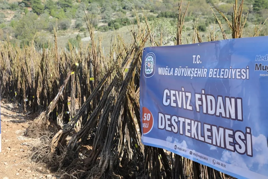 Muğla’da her kapıda bir fidan projesi başlatıldı