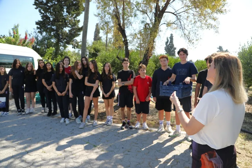Belediyeden öğrencilerle birlikte mandalina hasadı