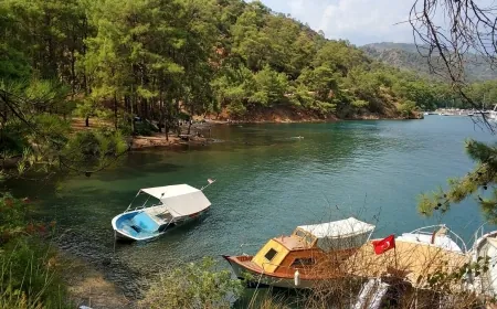 Cennet koy kurtuldu, ÇED süreci sonlandırıldı