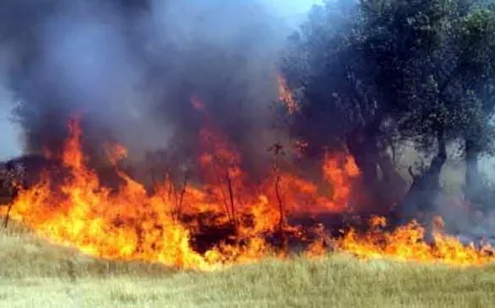 Stratonikeia antik kentinde yangın korkuttu