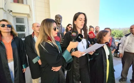 Bodrumlu avukatlar “Ülkemizde 4 ekim hayvanlar günü olmaktan çıkmıştır”