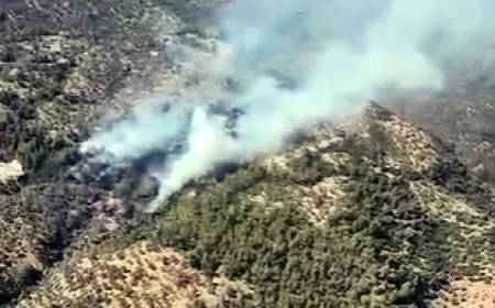 Aydın’da orman yangını başladı