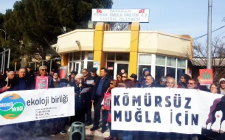 Termik santraldan çıkarılan işçiler için Muğlalı STK’lardan sert tepki “Kırk katır mı kırk satır mı değil, eşit ve özgür bir dünya”