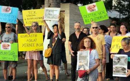 Bodrumlu hayvanseverlerden çok sert “Gebze Katliamı” tepkisi “Sokak hayvanlarını terörist ilan ettirmeye çalıştılar”
