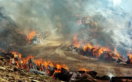 Orman yangını çıkardı, tutuklandı