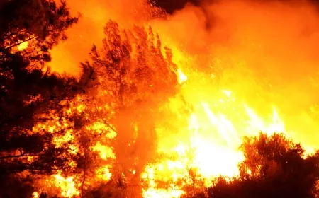 Ortaca'da ve Dalaman'da orman yangınları çıktı