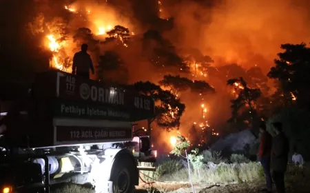 Dalaman, Ortaca ve Gökova ormanları sabaha kadar yandı, kabus sürüyor