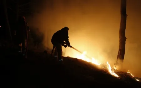 MUĞLA’DA ORMAN YANGINLARI 6 İLÇEYE YAYILDI, YANGINLARDA SON DURUM