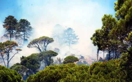 Bodrum Mumcular’da orman  yangını başladı