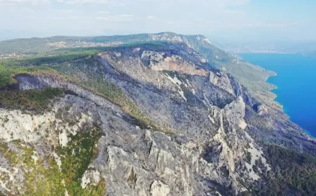 Gökova'nın cennet ormanları karardı. Orman yangınları 4. Günde kontrol altına alınabildi