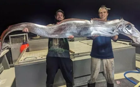 Kıyamet balığı oltaya geldi.