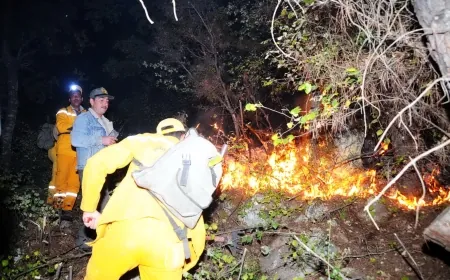 Marmaris ormanlarında başlayan yangın büyüyor