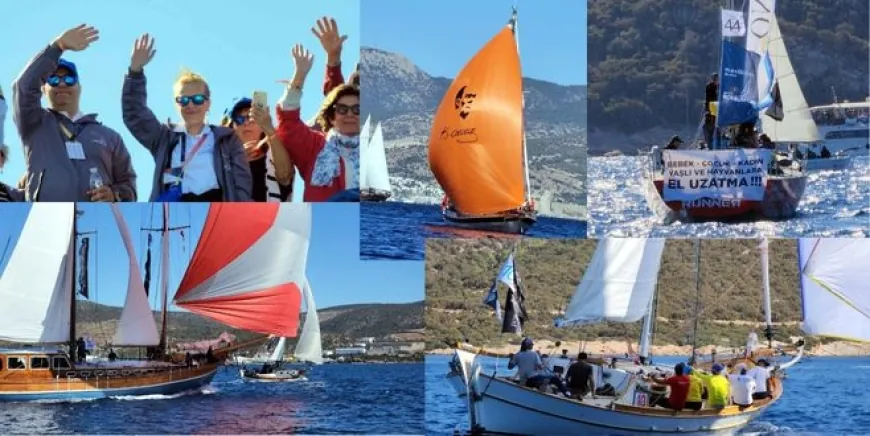Maximiles Black The Bodrum Cup yelken yarışları Ege’de festival havası estirdi