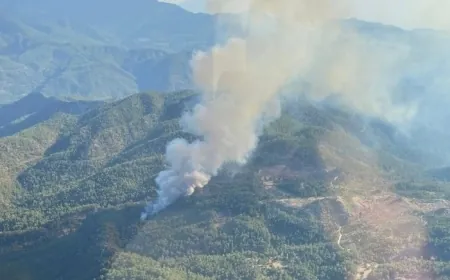 Köyceğiz’de Orman Yangınına Müdahale Sürüyor