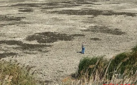 AZAP GÖLÜ KURUMAYA BAŞLADI