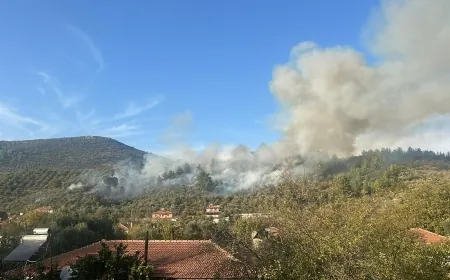 Muğla'da orman yangını: Ekipler müdahaleye başladı