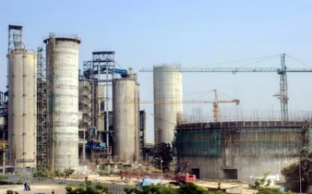 Muğla’da Çimentocu şirket inadından vaz geçmiyor, yeniden ÇED süreci başlattı