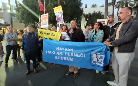 Bodrumlu hayvanseverlerden “Kanlı yasayı geri çekin” eylemi
