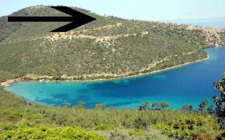 Bodrum Cennetkoy’da 3 milyar Tl. lik turizm tahsis arazisini alan işadamı ortaya çıktı