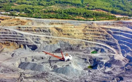 TÜRKİYE KÖMÜRDEN KADEMELİ ÇIKIŞ KARARI ALMALI