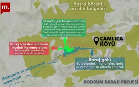 DSİ yapacak...Bodrum’un 2065 yılına kadar su sorunu Bodrum Baraj Projesi ile çözülecek