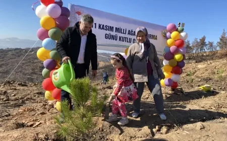 20 bin fidan toprak ile buluştu