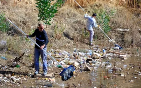 Bodrum’un tek “Tescilli Ağaç Topluluğu” bölgesini çöplüğe çevirmişler