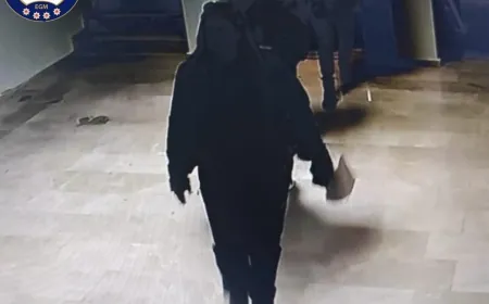 İnterpolün kırmızı bültenle aradığı Özbek fuhuş lideri Fethiye’de yakalandı