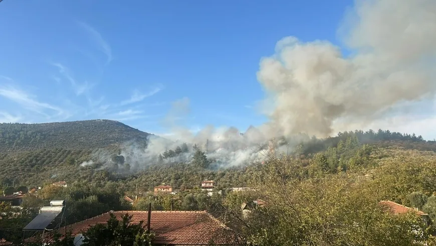 Muğla'da orman yangını: Ekipler müdahaleye başladı