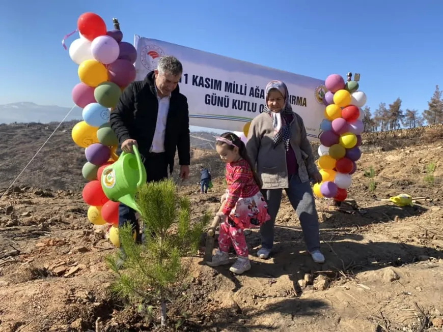 20 bin fidan toprak ile buluştu