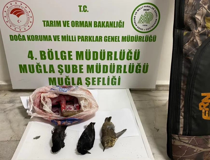 Muğla’da kaçak avcılara suçüstü