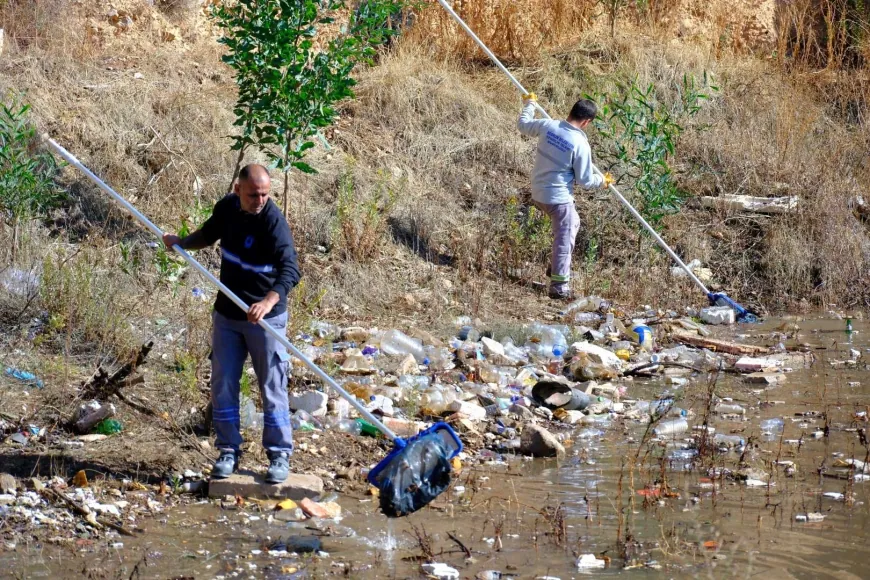 Bodrum’un tek “Tescilli Ağaç Topluluğu” bölgesini çöplüğe çevirmişler