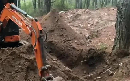 14 yıldır kayıptı ormanda cesedi bulundu, sır cinayet aydınlandı