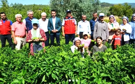 Kömür ocağı nedeniyle zorunlu göç ile karşı karşıya kalan ÖRENTAHT köylüleri hukuk mücadelesi başlattı.