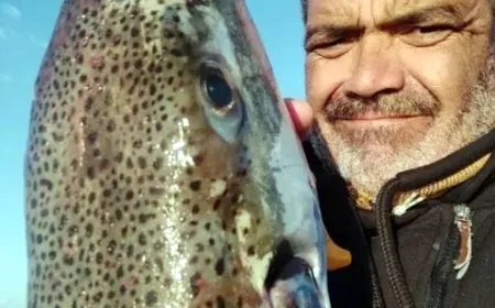 Bugüne kadar daha büyüğü  yakalanmadı, tam 12 kiloluk balon balığı