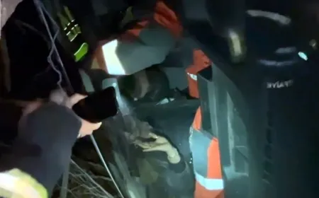 Bitez’de kaza 3 yaralı