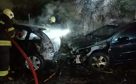 Bodrum’da ağaca düşen yıldırım iki otomobili yaktı