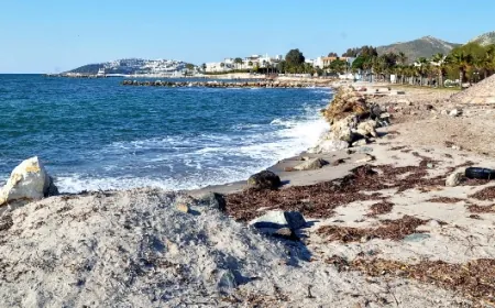 Turgutreis Sahil Güvenlik Limanı ihalesi yapıldı, tepkiler geldi
