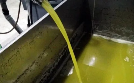 Tam 34 ton  sahte zeytinyağı yakalandı! Yakalanmasa soframıza gelecekti