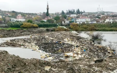 Büyük Menderes nehrinde korkutan görüntüler, bu bir çevre felaketidir, valilik defalarca uyardı ama önlem alınmadı