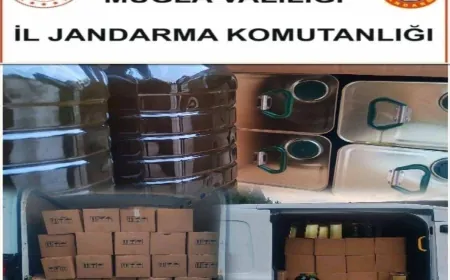 1,5 ton sahte zeytin yağı ele geçirildi