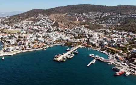 Yeni Liman Güllük’ün felaketi olacak. Güllük körfezinde liman isyanı , geniş çaplı eylem hazırlanıyor